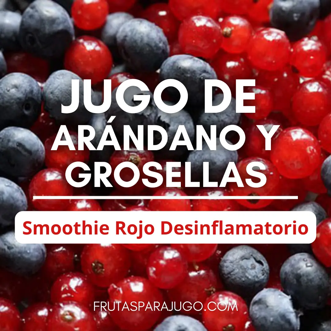 Batido Natural de Arándano y Grosellas